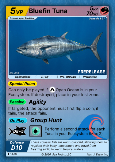 Bluefin Tuna