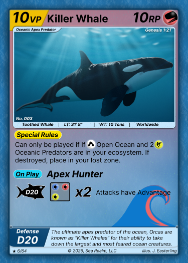 Open Ocean Deck product preview