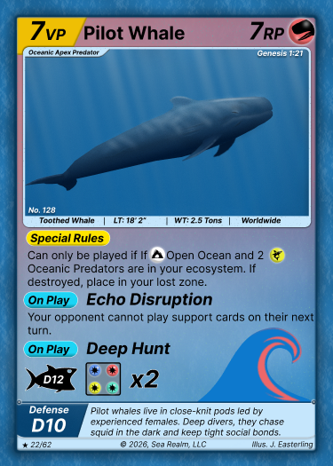 Pilot Whale SeaRealm card