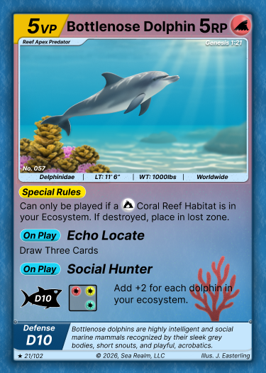 Bottlenose Dolphin SeaRealm card