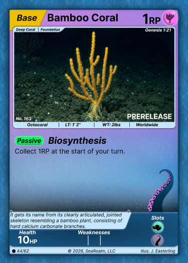 Bamboo Coral