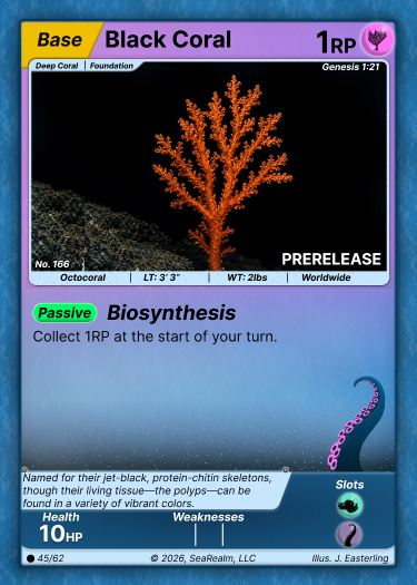Black Coral