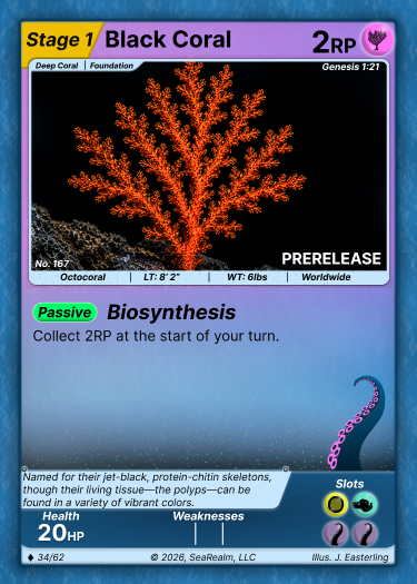 Black Coral