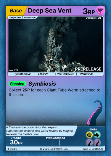Deep Sea Vent
