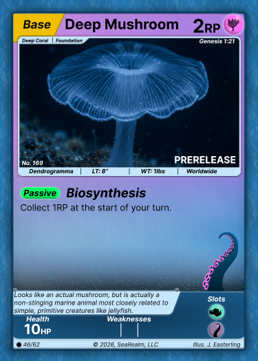 Deep Mushroom