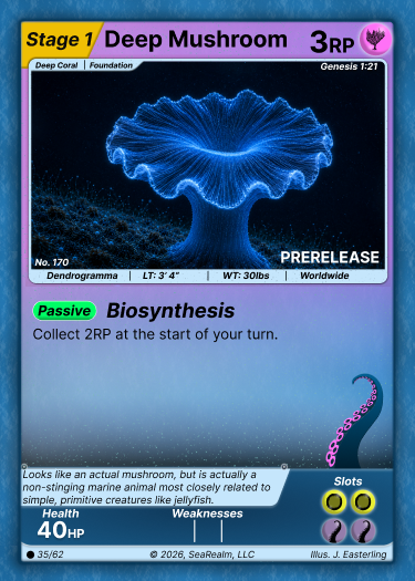 Deep Mushroom - Stage 1