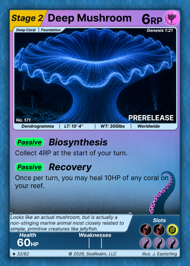 Deep Mushroom - Stage 2