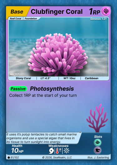 Clubfinger Coral - Base