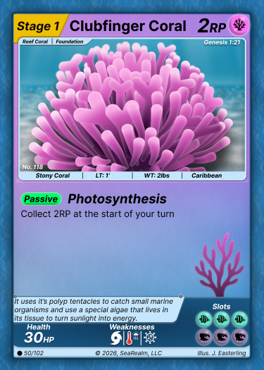 Clubfinger Coral