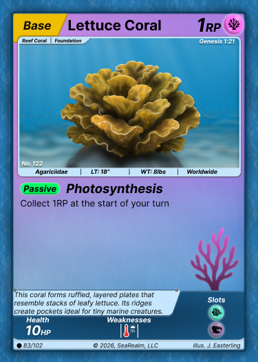 Lettuce Coral - Base