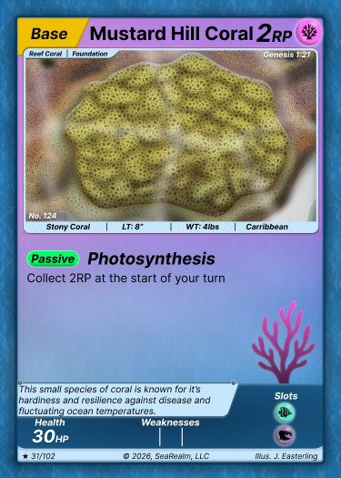Mustard Hill Coral