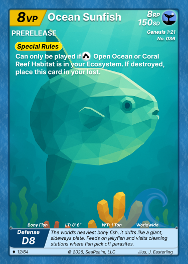 Ocean Sunfish