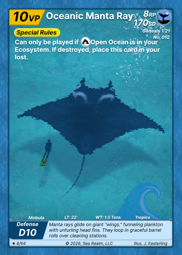 Oceanic Manta Ray