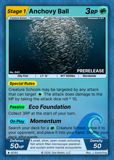 Anchovy Swarm
