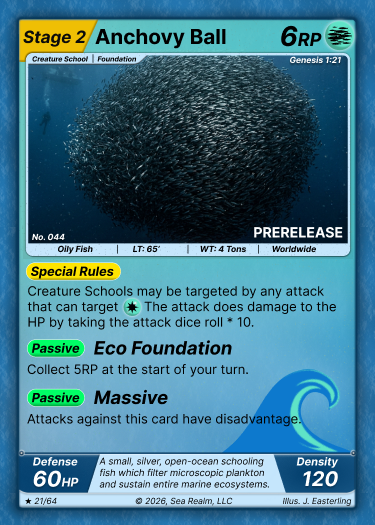 Anchovy Swarm