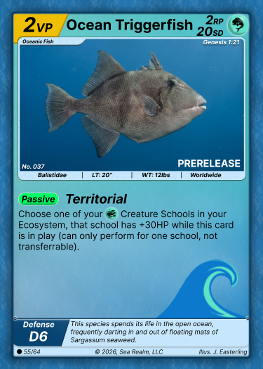 Ocean Triggerfish SeaRealm card