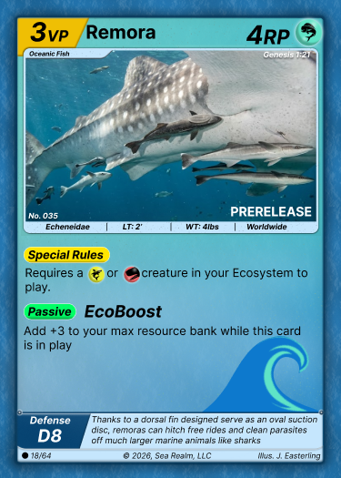 Remora