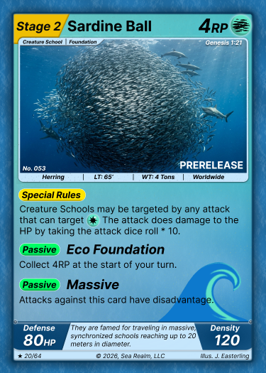 Sardine Ball - Stage 2