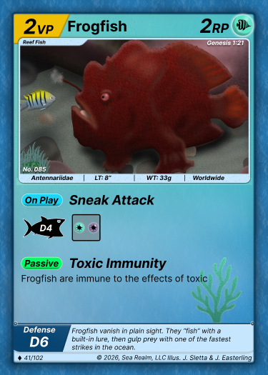 Frogfish