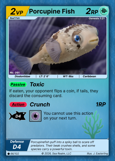Porcupine Fish