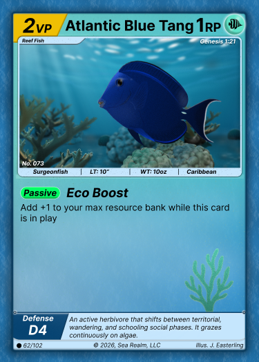 Blue Tang SeaRealm card