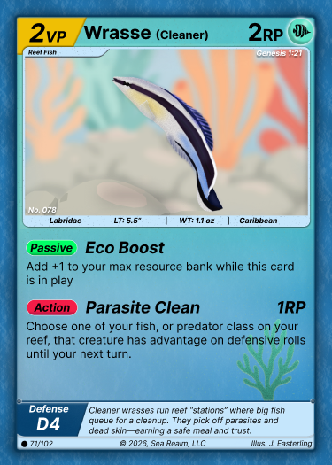 Cleaner Wrasse SeaRealm card