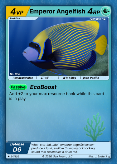 Emperor Angelfish