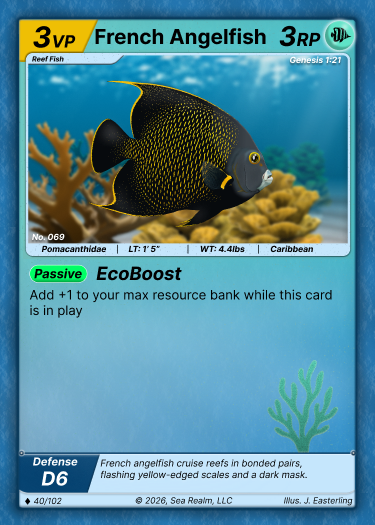 Coral Garden Deck product preview