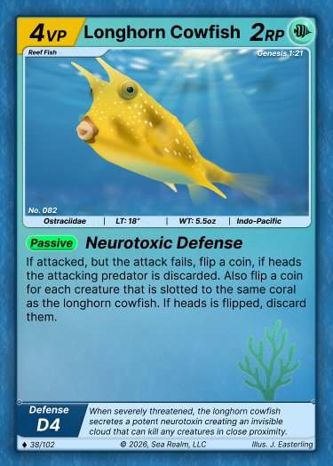 Boxfish