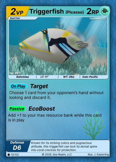 Picasso Triggerfish SeaRealm card