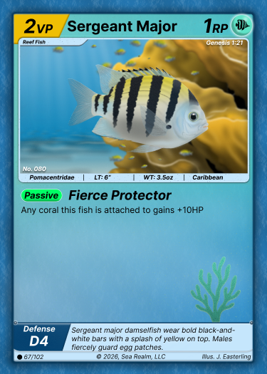 Sargeant Major SeaRealm card