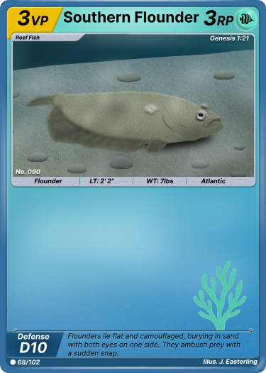 Southern Flounder SeaRealm card