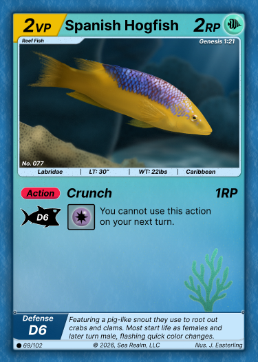 Spanish Hogfish SeaRealm card