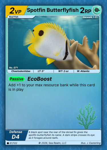 SeaRealm card featuring Spotfin Butterflyfish