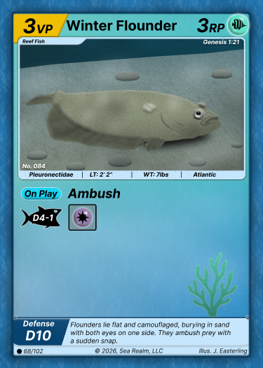 SeaRealm card featuring Winter Flounder