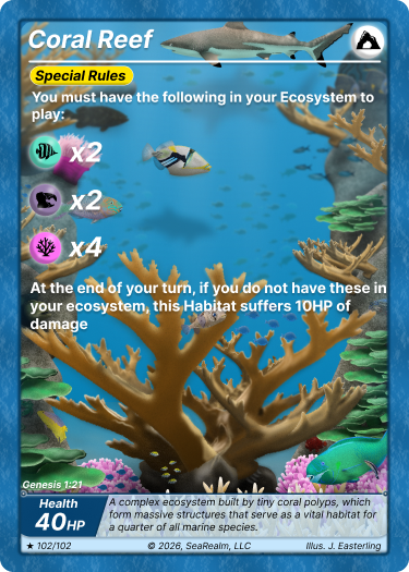 Coral Reef