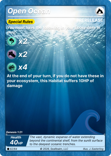 Open Ocean