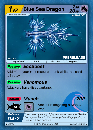 Blue Sea Dragon