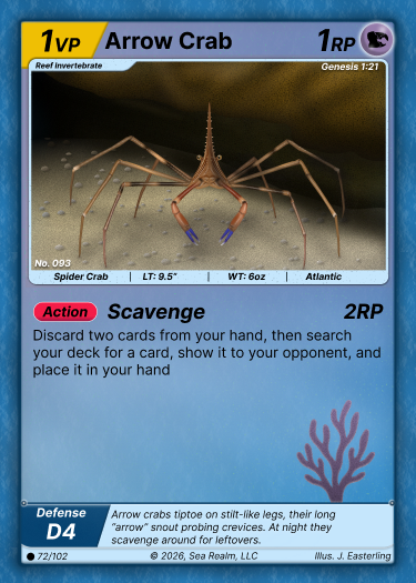 Arrow Crab