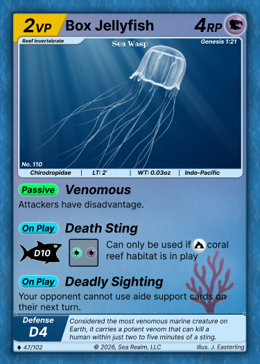 Box Jellyfish