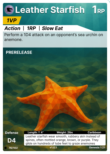 Leather Starfish