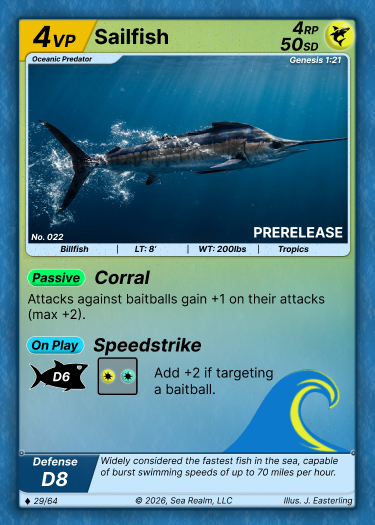 Sailfish