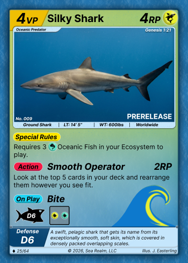 Silky Shark