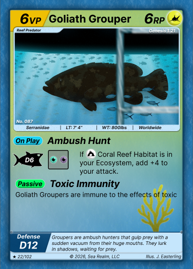 Disruption Deck product preview