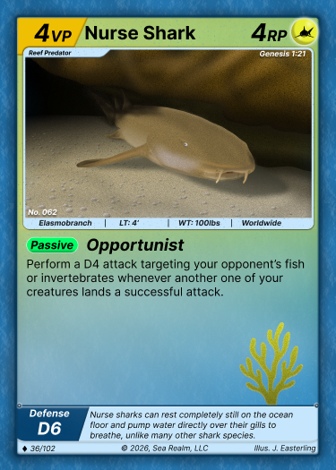 Nurse Shark