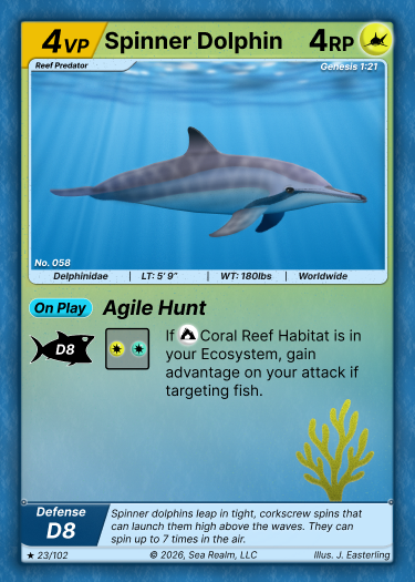 Spinner Dolphins
