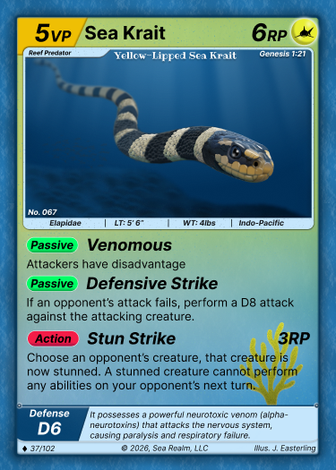 Yellow-Lipped Sea Krait