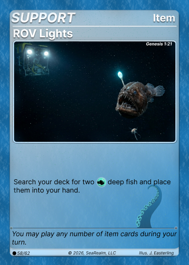 ROV Lights